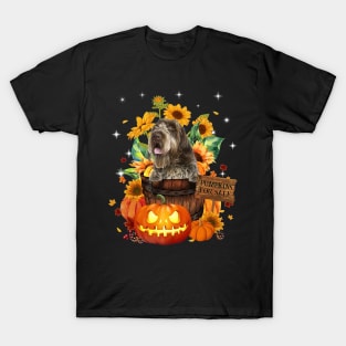 Wirehaired Pointing Griffon Halloween Pumpkin Fall Bucket T-Shirt